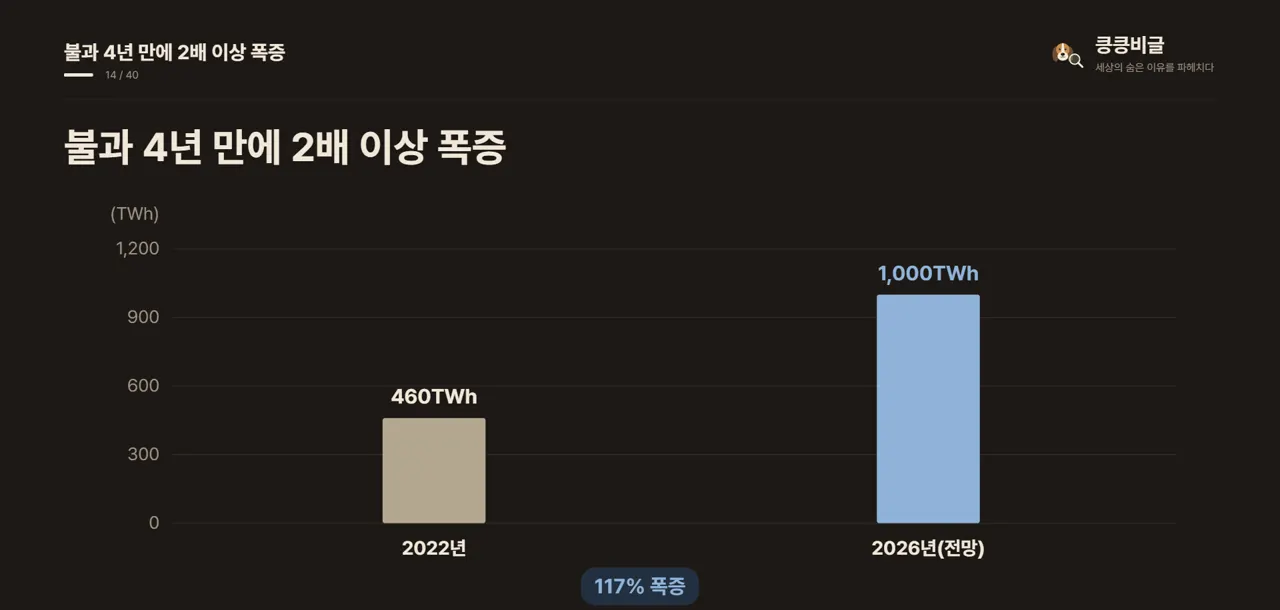 불과 4년 만에 2배 이상 폭증