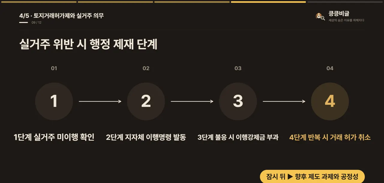 실거주 위반 시 행정 제재 단계