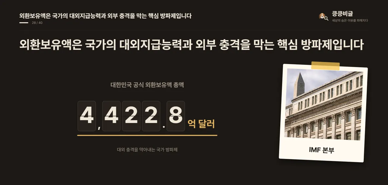 외환보유액은 국가의 대외지급능력과 외부 충격을 막는 핵심 방파제입니다