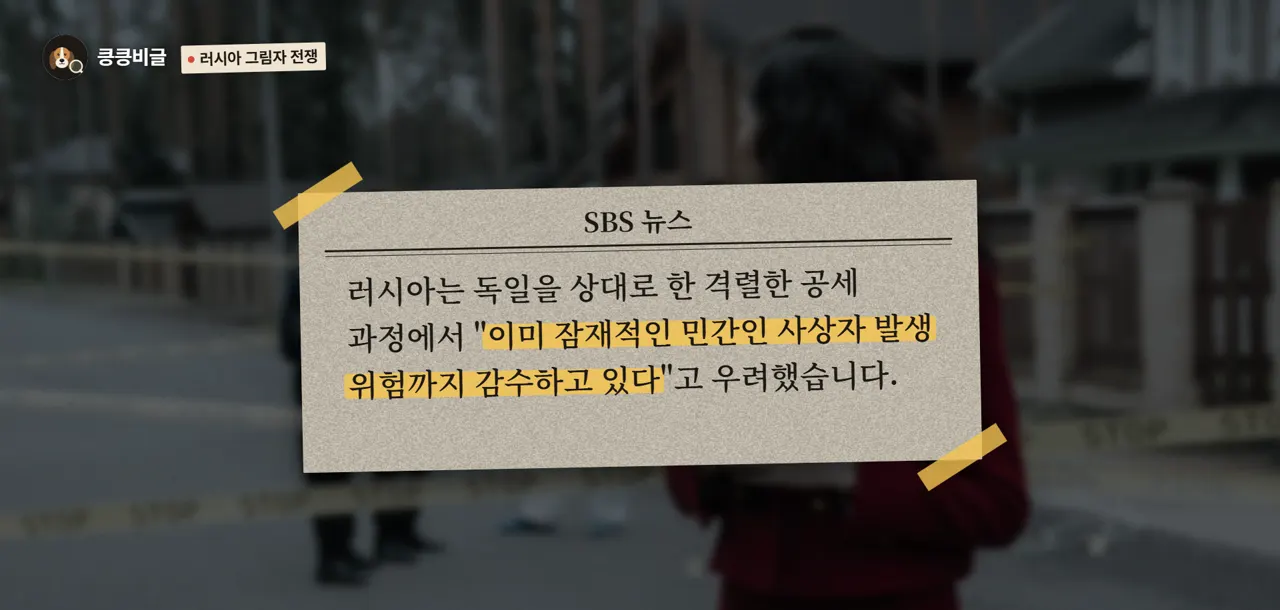 러시아 그림자 전쟁