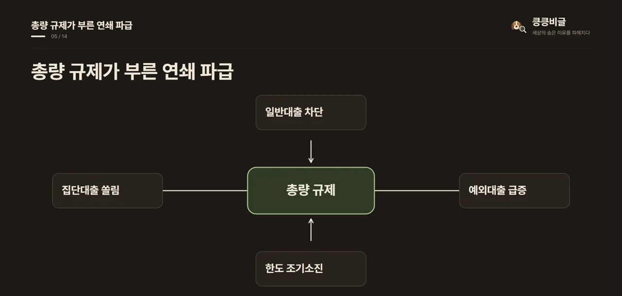 총량 규제가 부른 연쇄 파급