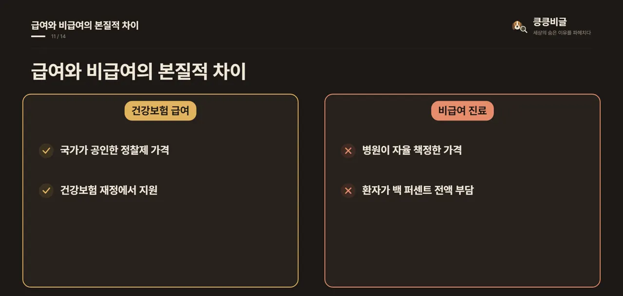급여와 비급여의 본질적 차이