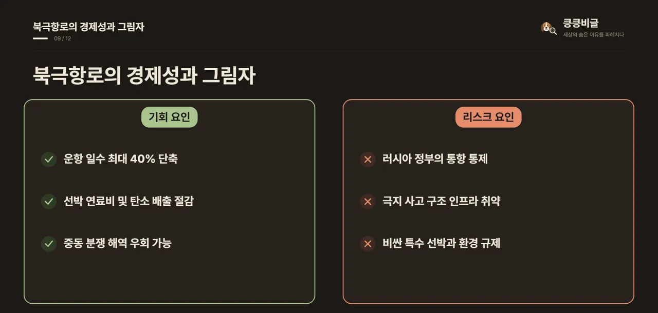 북극항로의 경제성과 그림자