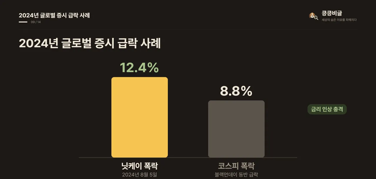 2024년 글로벌 증시 급락 사례