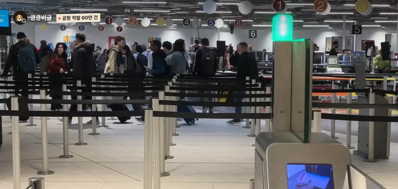 공항 적발 60만 건