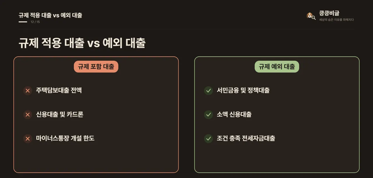 규제 적용 대출 vs 예외 대출