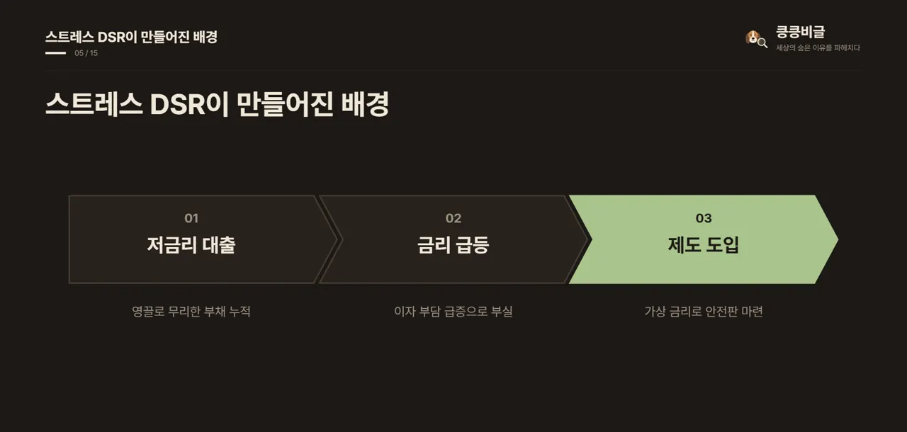 스트레스 DSR이 만들어진 배경