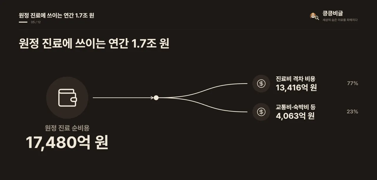 원정 진료에 쓰이는 연간 1.7조 원
