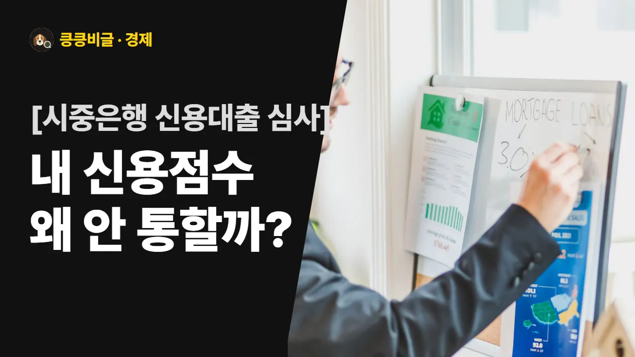 신용 900점도 대출 거절되는 이유 대표 그림