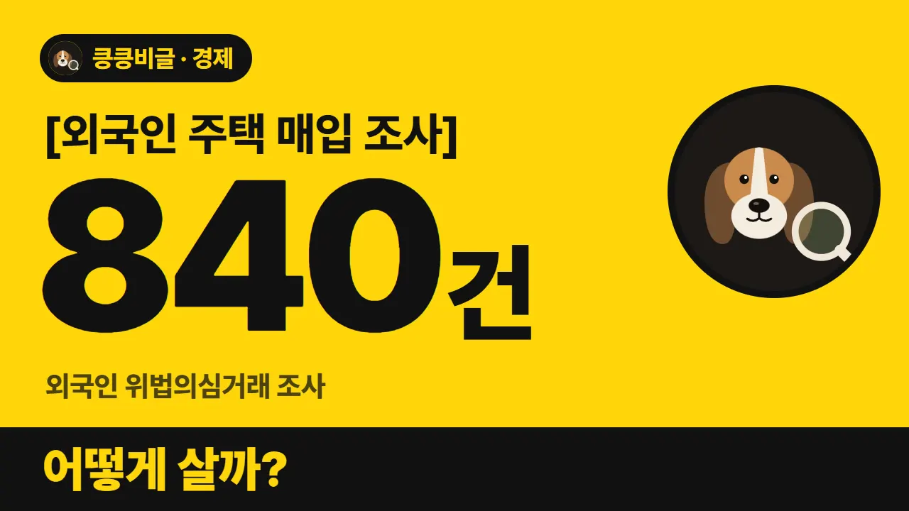 외국인 부동산 대출 규제 왜 비켜갈까 대표 그림