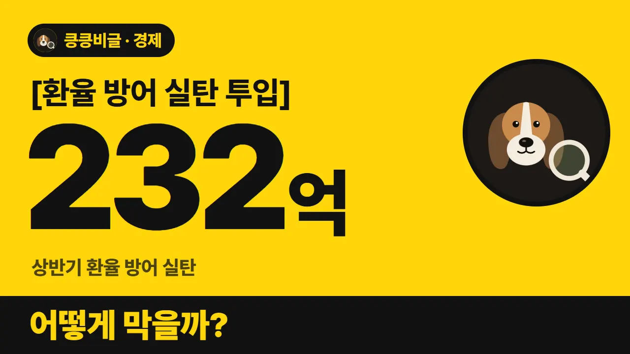 외환보유액 줄어도 환율 방어는 성공할까 대표 그림