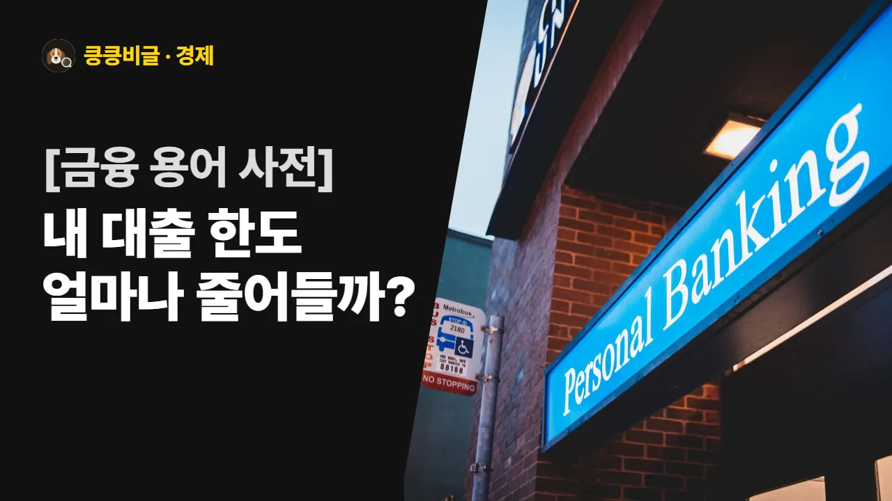 대출 한도 깎는 스트레스 DSR 대표 그림
